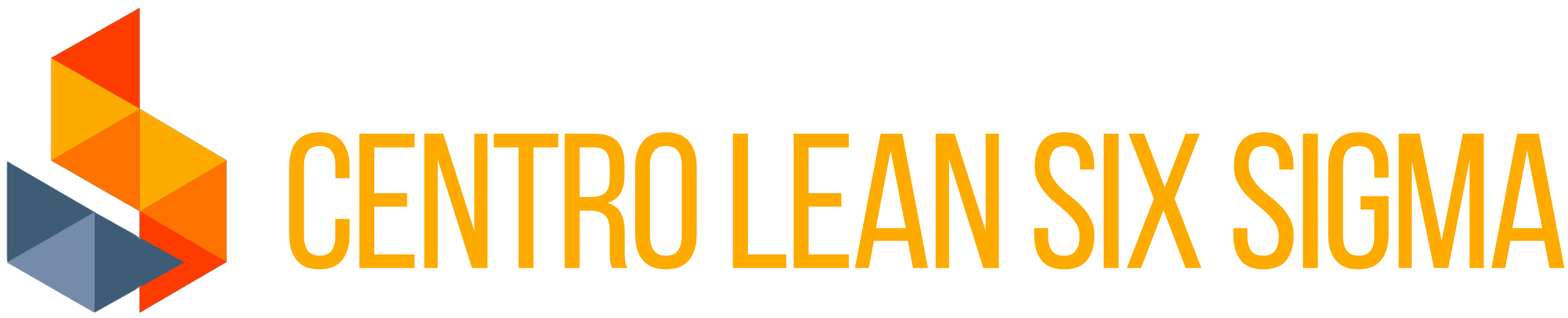 Centro Lean Six Sigma Logo